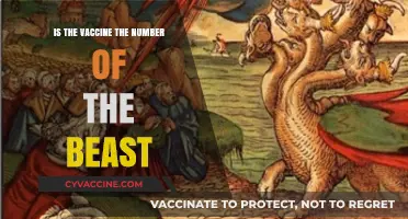 Vaccine Conspiracy Debunked: Separating Fact from 'Mark of the Beast' Fiction