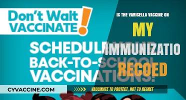 Varicella Vaccine: How to Check Your Immunization Record for Chickenpox Protection