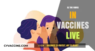 Debunking Myths: Are Vaccines Safe and Effective?