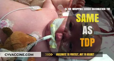Whooping Cough Vaccine vs. Tdap: Understanding the Key Differences