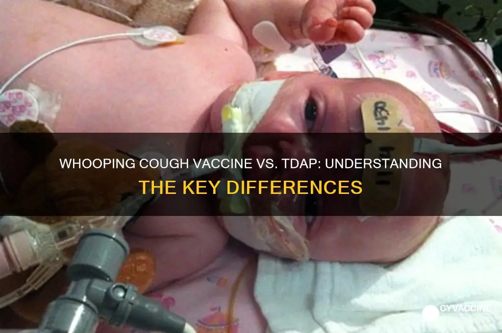 is the whipping cough vaccination the same as tdp