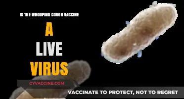 Is the Whooping Cough Vaccine a Live Virus? Facts Revealed