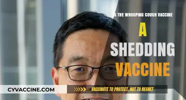 Whooping Cough Vaccine: Does It Cause Shedding? Facts Explained
