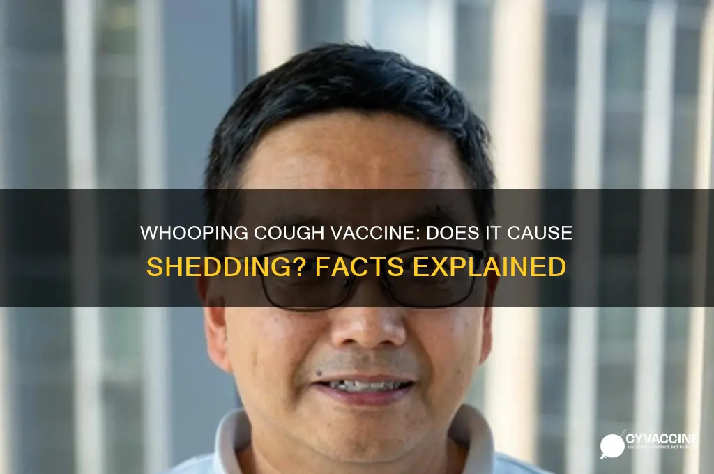 is the whooping cough vaccine a shedding vaccine