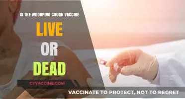Whooping Cough Vaccine: Live or Dead? Understanding the DTaP Shot