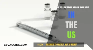 Yellow Fever Vaccine Availability in the US: What You Need to Know