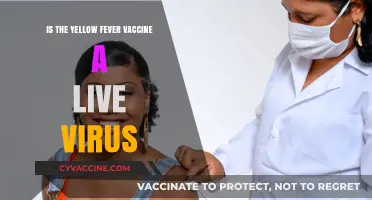 Yellow Fever Vaccine: Live Virus or Not?