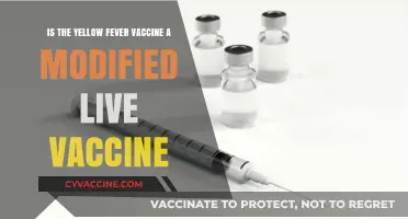 Is Yellow Fever Vaccine a Modified Live Vaccine? Explained