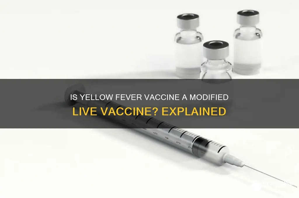 is the yellow fever vaccine a modified live vaccine