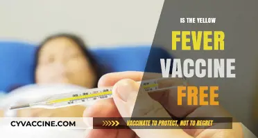 Exploring the Cost of Yellow Fever Vaccination: What You Need to Know