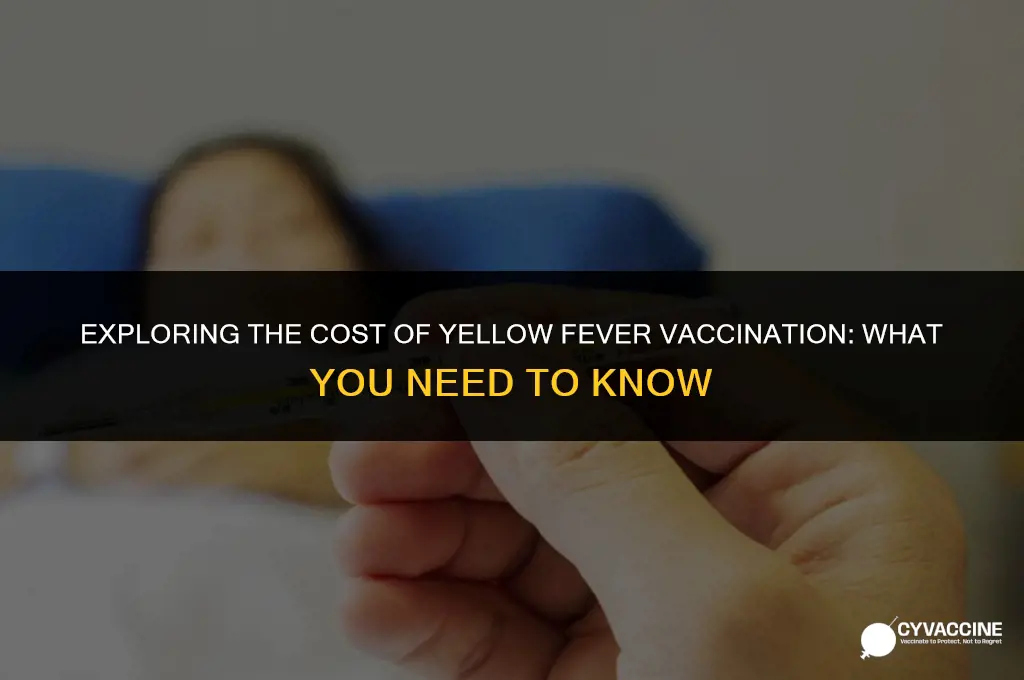 is the yellow fever vaccine free