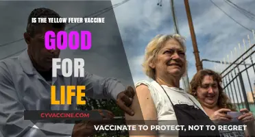 Yellow Fever Vaccine: Lifetime Immunity?