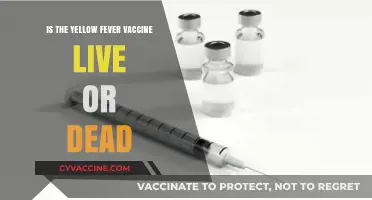 Is Yellow Fever Vaccine Live or Dead? Understanding the Vaccine Type