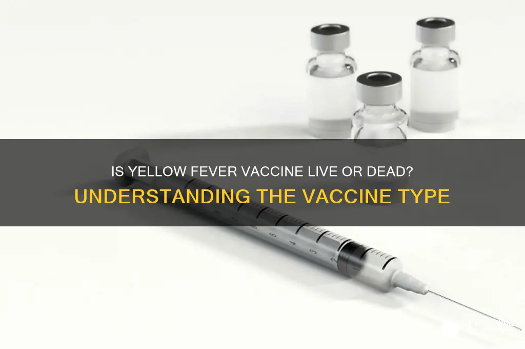 is the yellow fever vaccine live or dead
