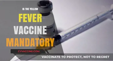 Exploring the Necessity of Yellow Fever Vaccination: A Comprehensive Guide