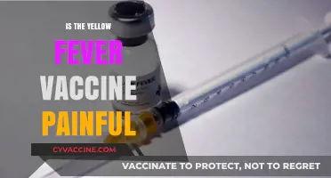 Does the Yellow Fever Vaccine Hurt? What to Expect