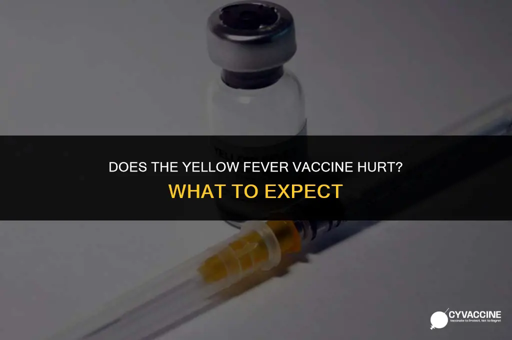 is the yellow fever vaccine painful