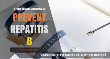 Hepatitis B Vaccine: Availability and Protection Against the Virus