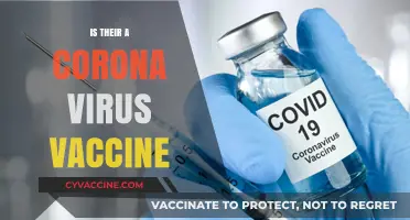 Exploring the Latest Developments in COVID-19 Vaccination Efforts