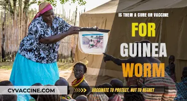 Guinea Worm: Current Status of Cure and Vaccine Development