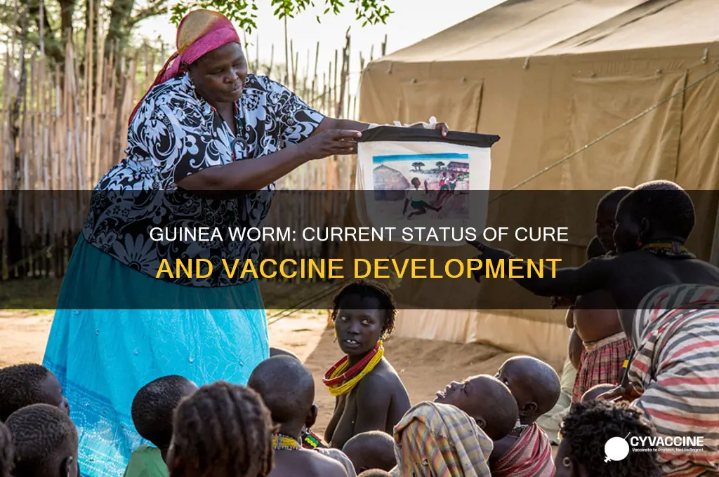 is their a cure or vaccine for guinea worm
