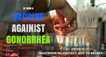 Exploring the Quest for a Gonorrhea Vaccine: Progress and Challenges