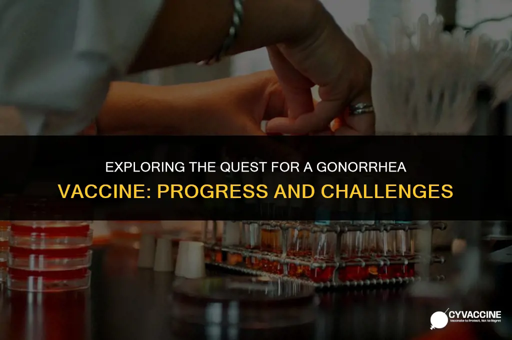 is their a vaccine againist gonorrhea