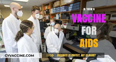 Exploring the Quest for an AIDS Vaccine: Progress and Challenges