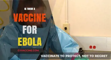 Exploring the Latest Advances: Is There a Vaccine for Ebola?