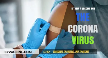 Is There a COVID-19 Vaccine? Facts, Availability, and Updates