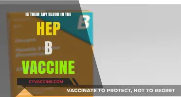 Hepatitis B Vaccine: Does It Contain Blood Components?