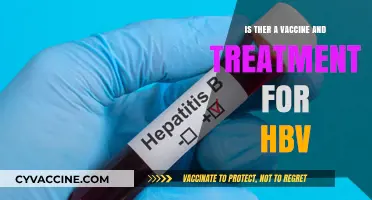 HBV Vaccine and Treatment: Current Options and Future Prospects