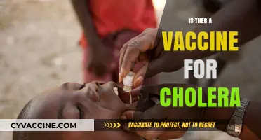 Combatting Cholera: The Quest for an Effective Vaccine