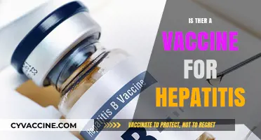 Exploring Hepatitis Vaccination: Facts, Myths, and Prevention Strategies