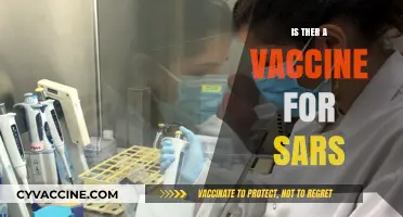 Exploring the Latest on SARS Vaccines: Facts and Updates
