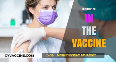Unraveling the Myths: 5G Technology and COVID-19 Vaccines