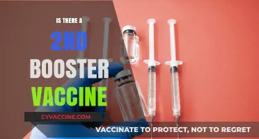 Exploring the Possibility of a Second Booster Vaccine: What You Need to Know