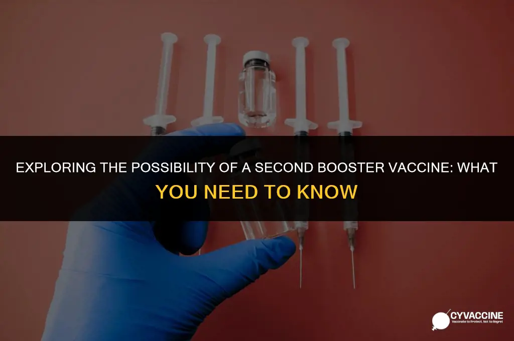 is there a 2nd booster vaccine