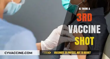Booster Shot: What You Need to Know About a Third Vaccine Dose