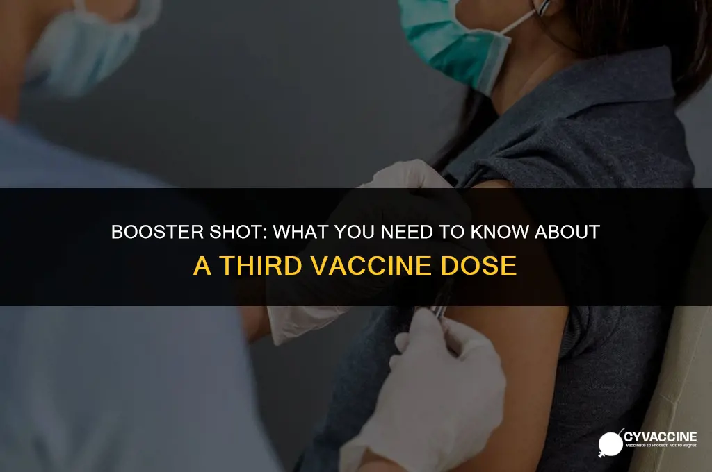 is there a 3rd vaccine shot