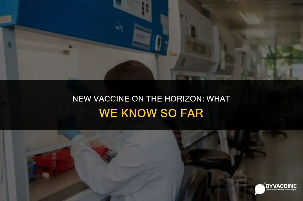 is there a 4th vaccine coming