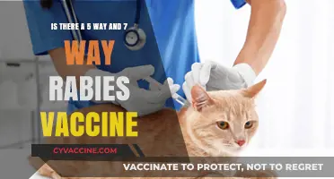 Rabies Vaccine Options: Exploring 5-Way and 7-Way Protection for Pets