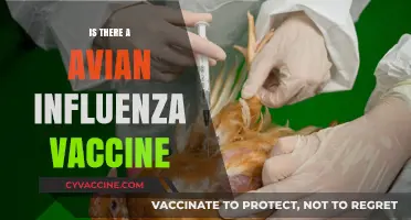 Combatting Avian Influenza: The Quest for an Effective Vaccine