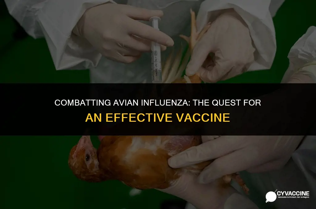 is there a avian influenza vaccine