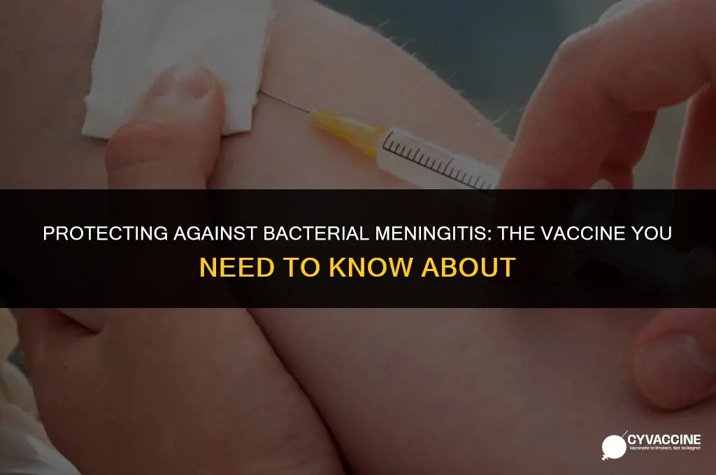is there a bacterial meningitis vaccine