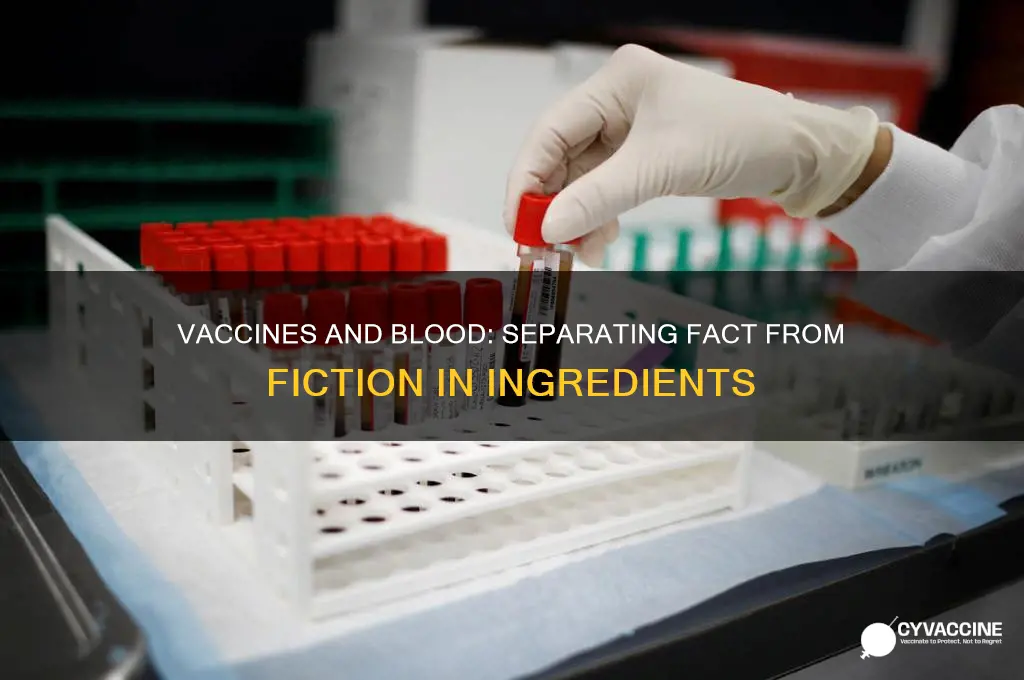 is there a basis to believe that vaccines contain blood