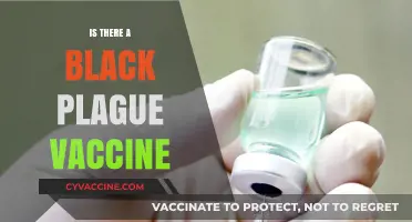Exploring the Quest for a Black Plague Vaccine: Hope or Hype?