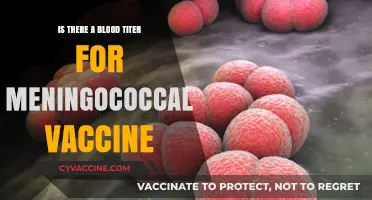 Understanding Meningococcal Vaccine Blood Titer Testing: What You Need to Know