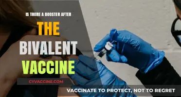 Bivalent Vaccine Booster: What’s Next After the Updated Shot?