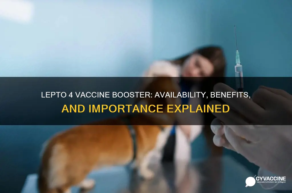 is there a booster for lepto 4 vaccine